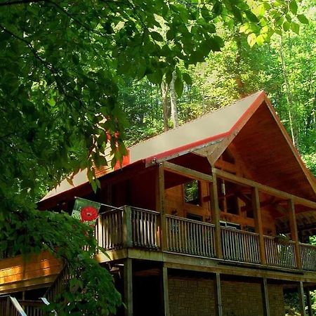 Alpine Joy-Hot Tub, Pond Access ,1089 Of Free Tickets For Each Paid Day, Dollywood And More! Townsend Buitenkant foto
