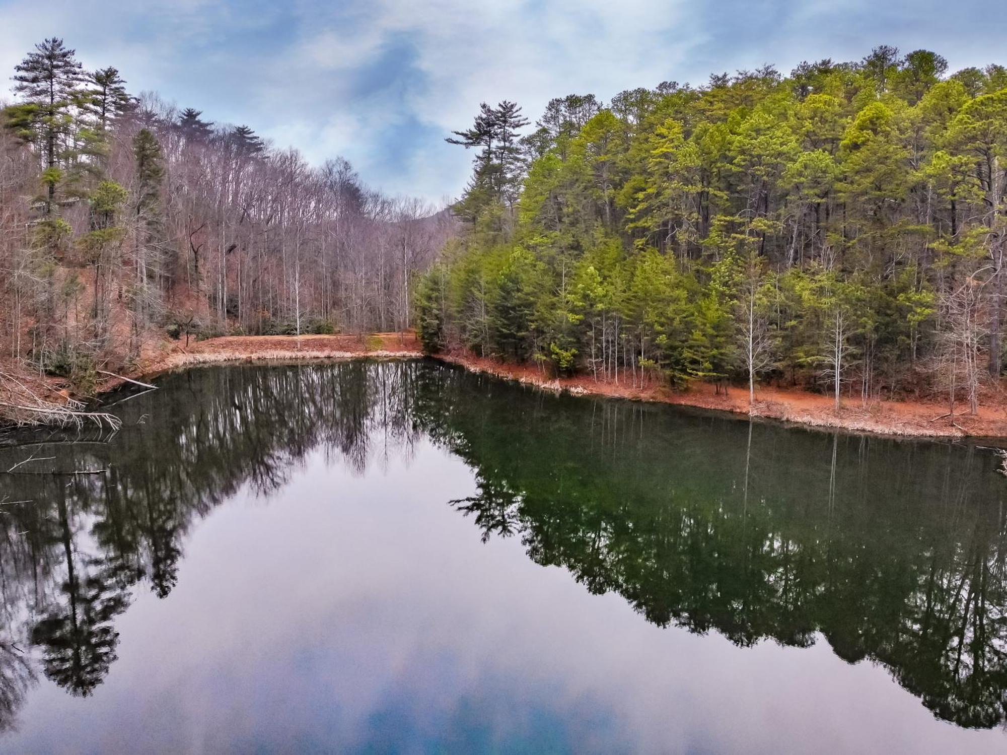 Alpine Joy-Hot Tub, Pond Access ,1089 Of Free Tickets For Each Paid Day, Dollywood And More! Townsend Kamer foto