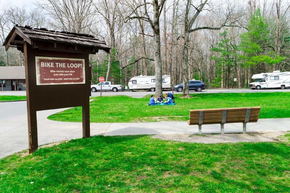 Alpine Joy-Hot Tub, Pond Access ,1089 Of Free Tickets For Each Paid Day, Dollywood And More! Townsend Buitenkant foto