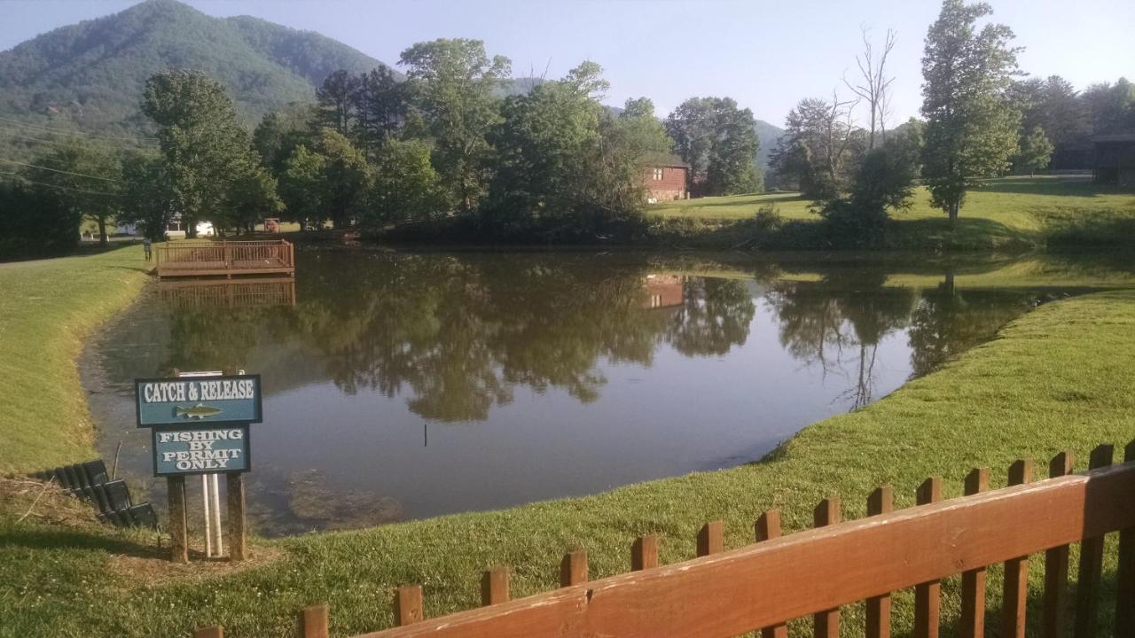 Alpine Joy-Hot Tub, Pond Access ,1089 Of Free Tickets For Each Paid Day, Dollywood And More! Townsend Buitenkant foto